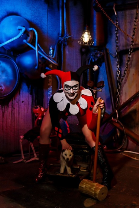 Harley Quinn gwiazda kolekcja